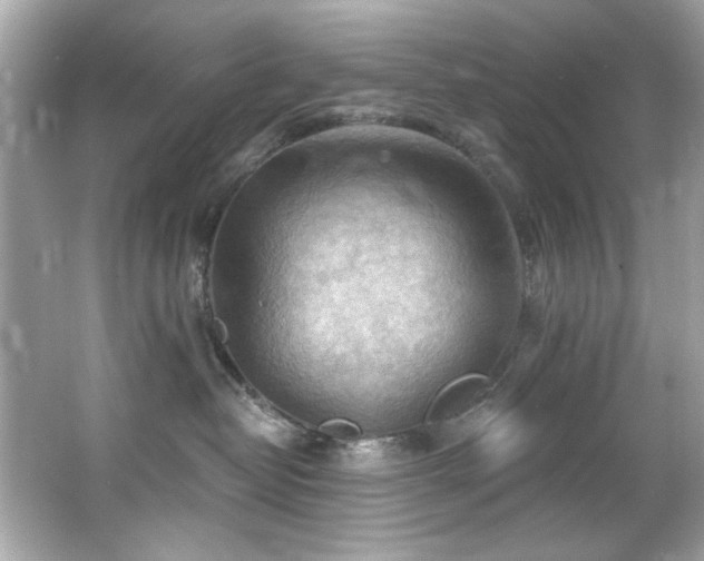 X0000066090382200603101212