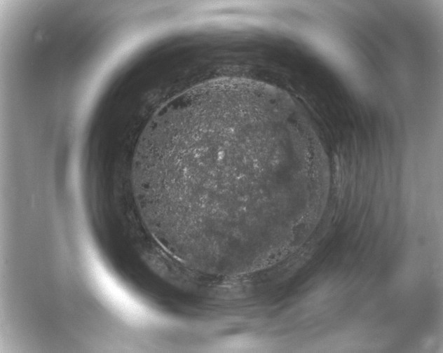 X0000066090383200603101212