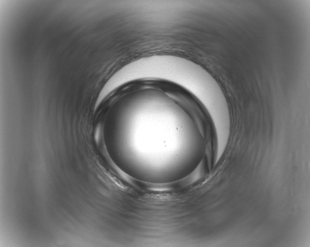 X0000066090384200603101212