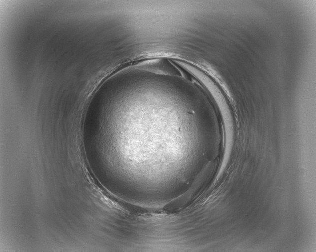 X0000066090385200603101211