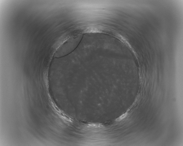 X0000066090386200603101211