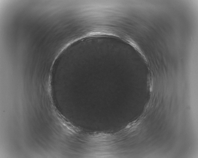 X0000066090387200603101211