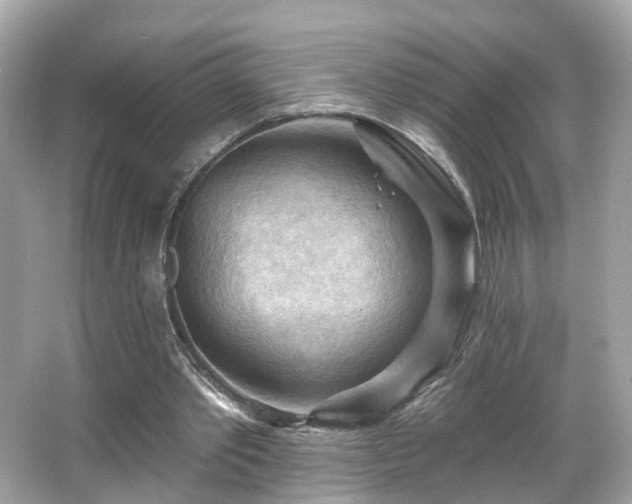 X0000066090389200603101211