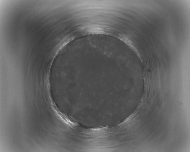 X0000066090390200603101211