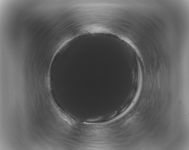 X0000066090391200603101211