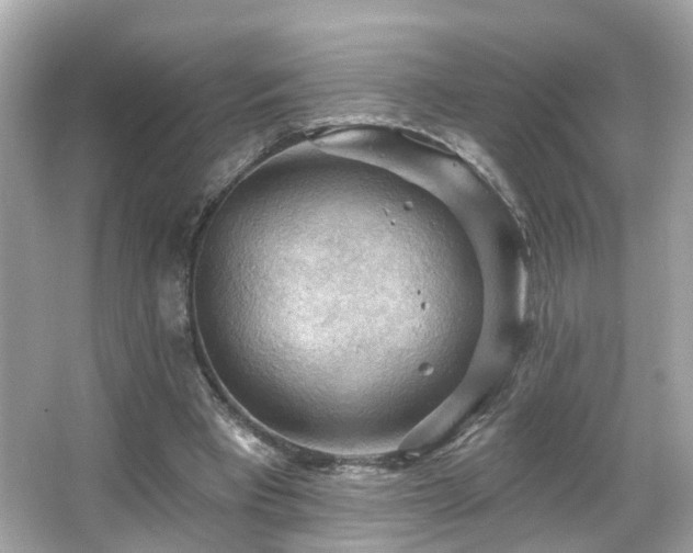 X0000066090393200603101211