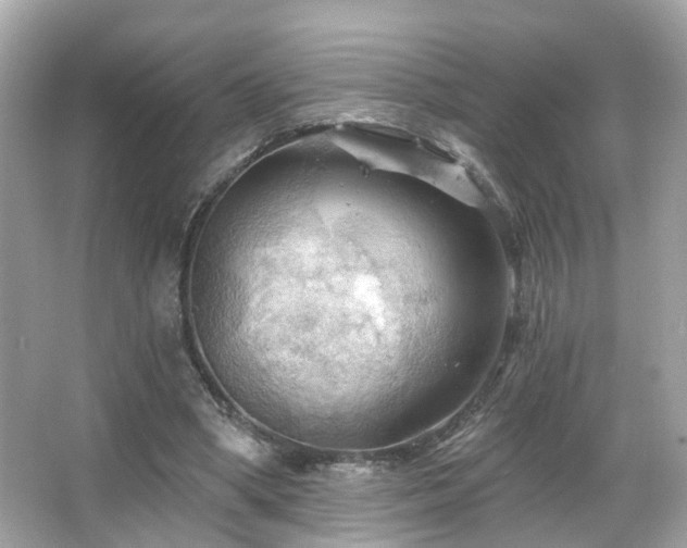 X0000066090394200603101211