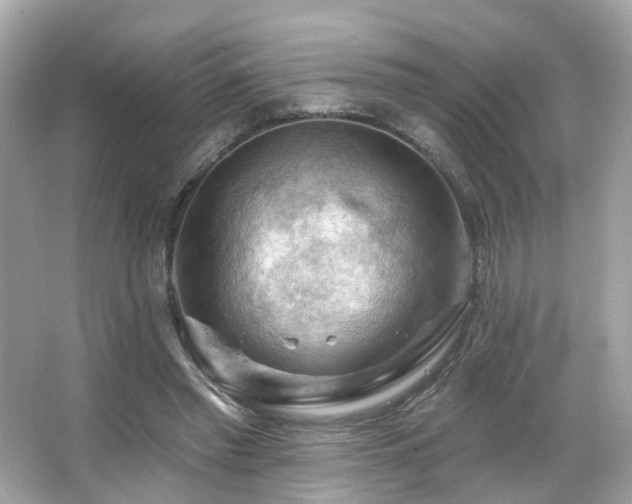 X0000066090397200603101211