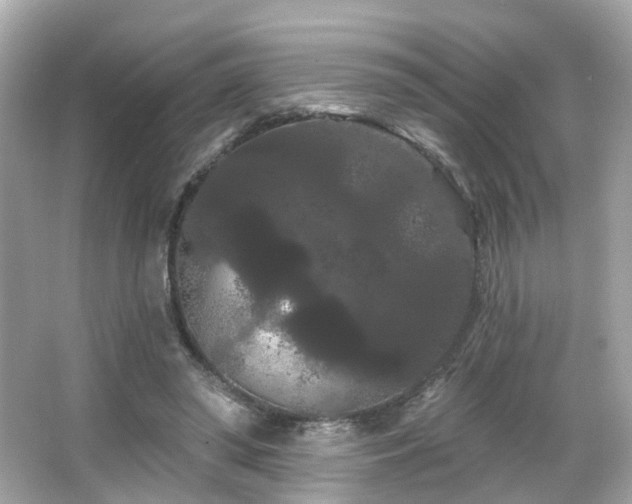 X0000066090398200603101211