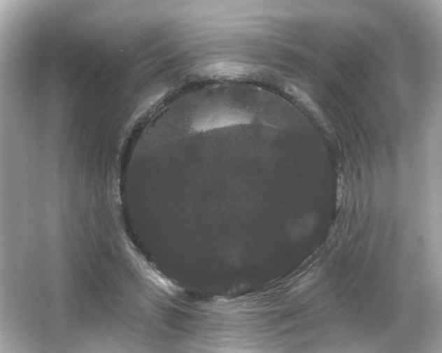 X0000066090399200603101211