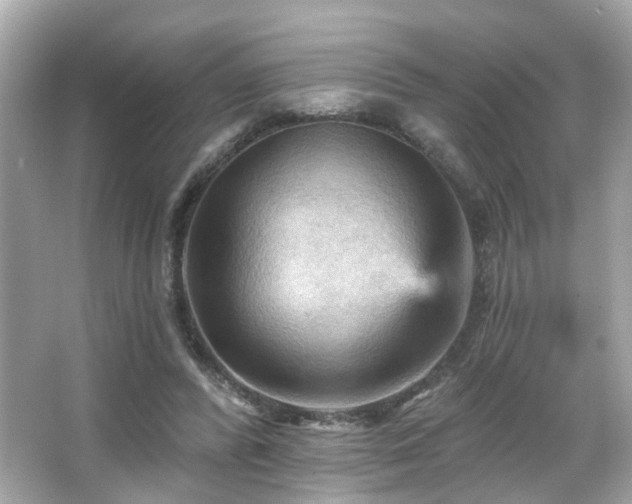 X0000066090400200603101211