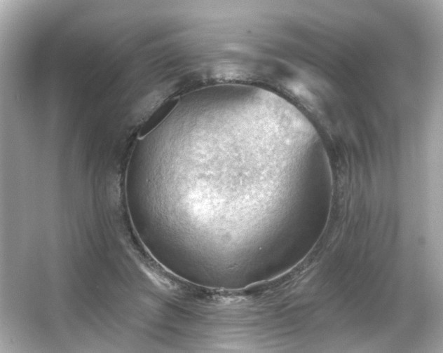 X0000066090401200603101211