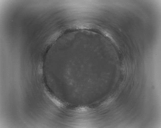 X0000066090402200603101211