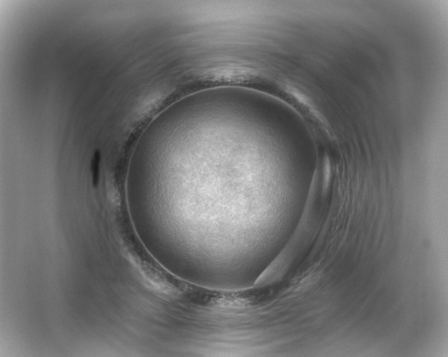 X0000066090403200603101211