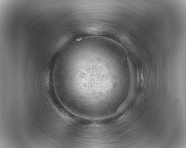 X0000066090404200603101211