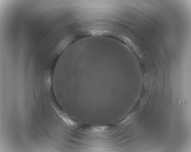 X0000066090405200603101211