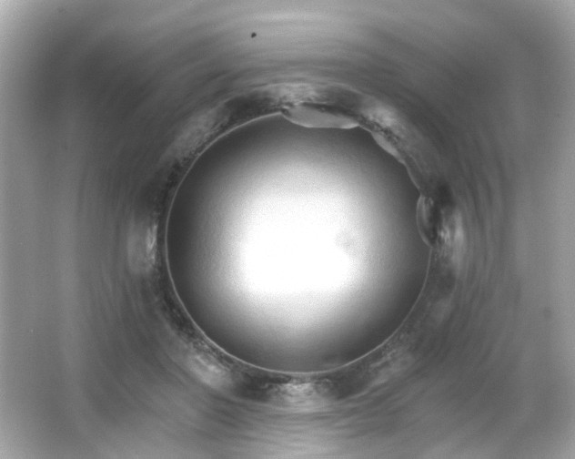 X0000066090406200603101211