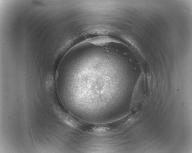 X0000066090407200603101211