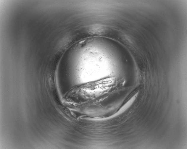 X0000066090408200603101211