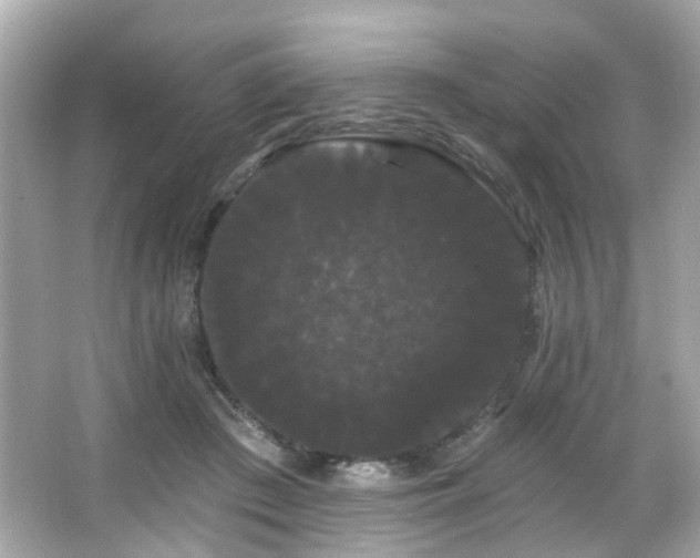 X0000066090409200603101211