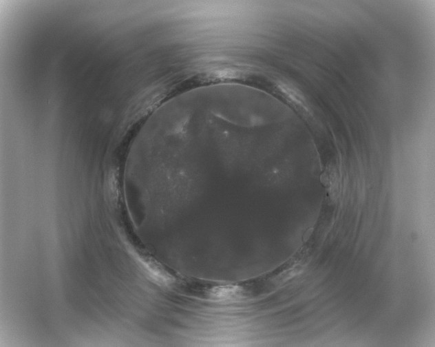 X0000066090410200603101211