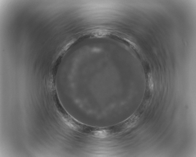 X0000066090411200603101211