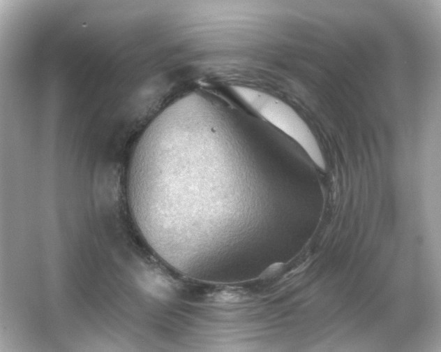 X0000066090412200603101211