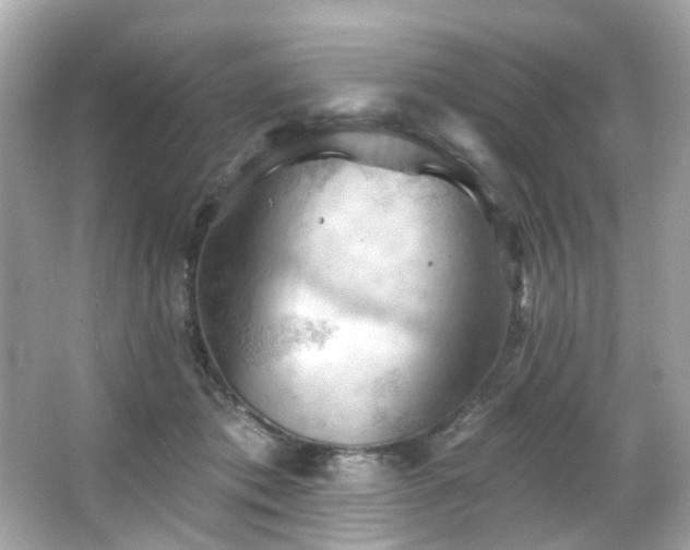 X0000066090413200603101211