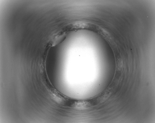 X0000066090414200603101211