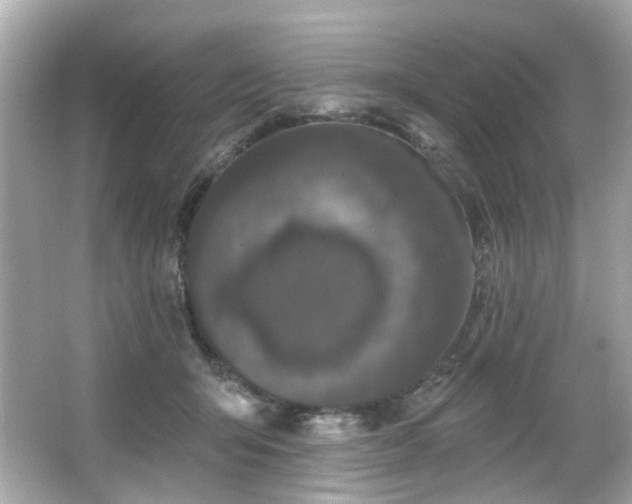 X0000066090415200603101211