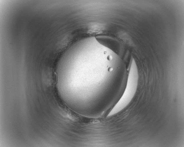 X0000066090416200603101211