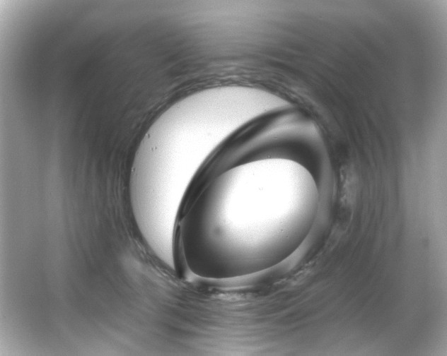 X0000066090417200603101211