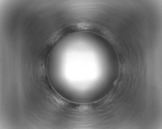 X0000066090418200603101211