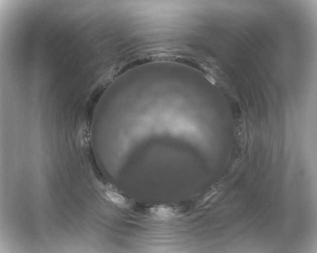 X0000066090419200603101211