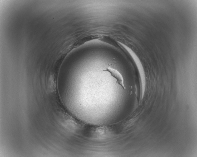 X0000066090420200603101211