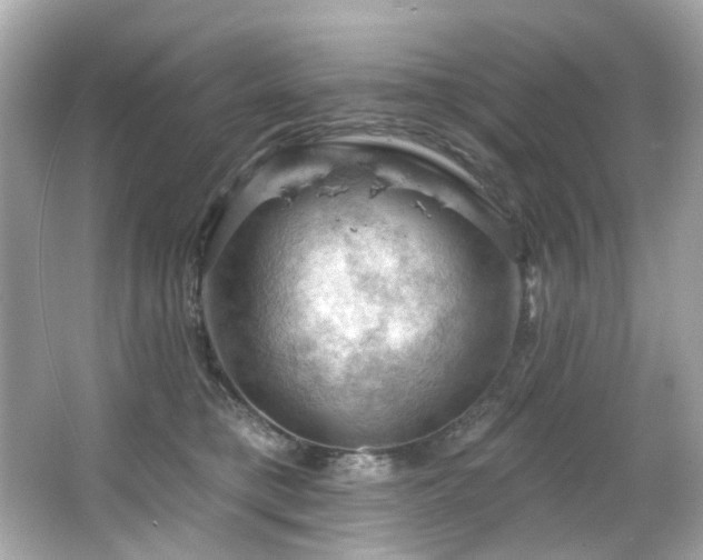 X0000066090421200603101211