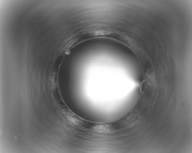 X0000066090422200603101211