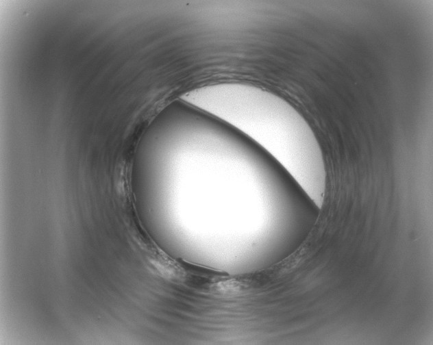 X0000066090423200603101211