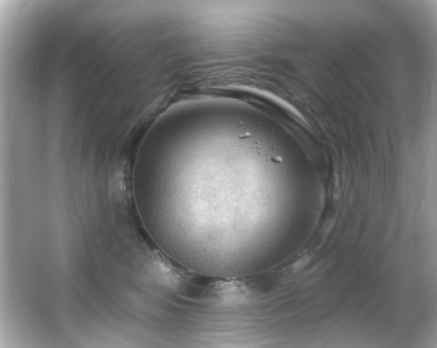 X0000066090424200603101211