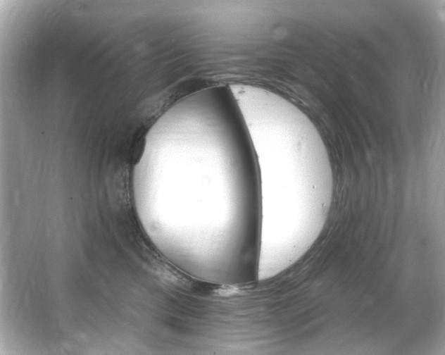 X0000066090425200603101211