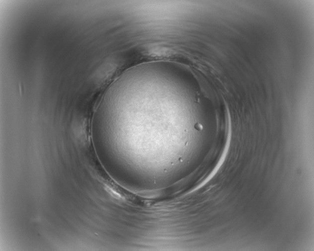 X0000066090428200603101211