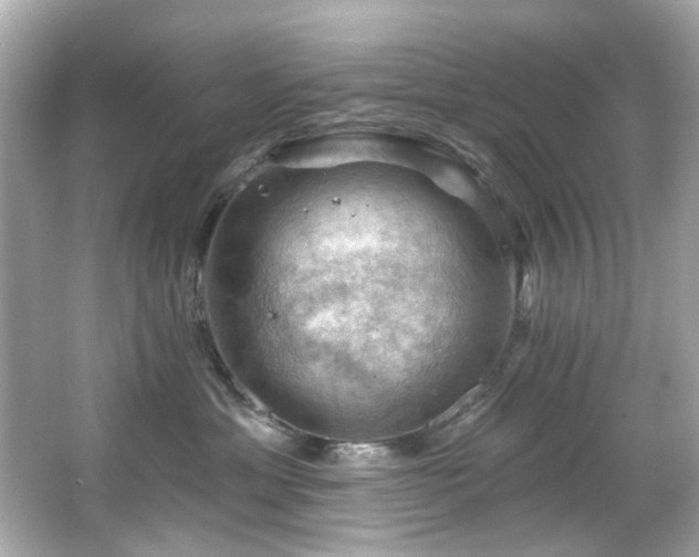 X0000066090429200603101211