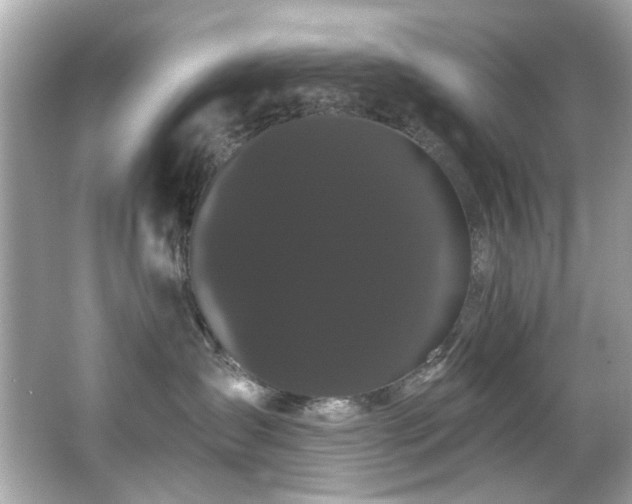 X0000066090431200603101211