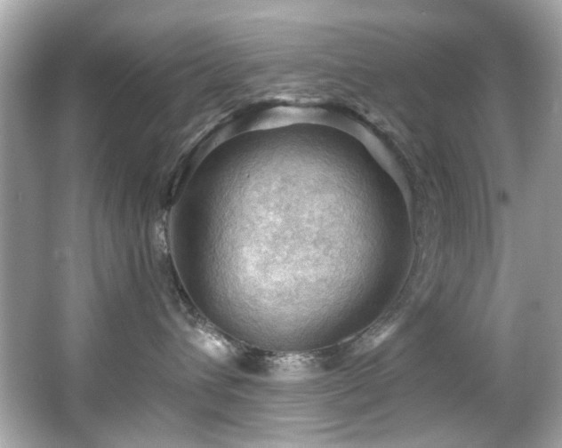 X0000066090432200603101211