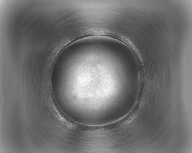 X0000066090433200603101210