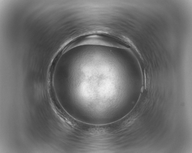 X0000066090435200603101210