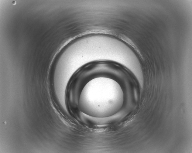 X0000066090436200603101210