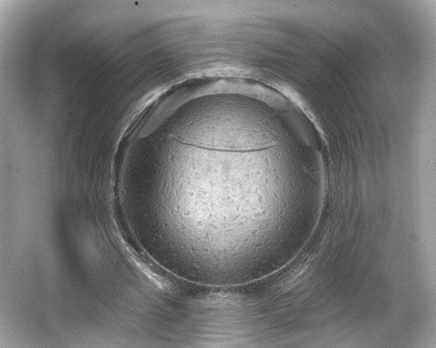 X0000066090437200603101210