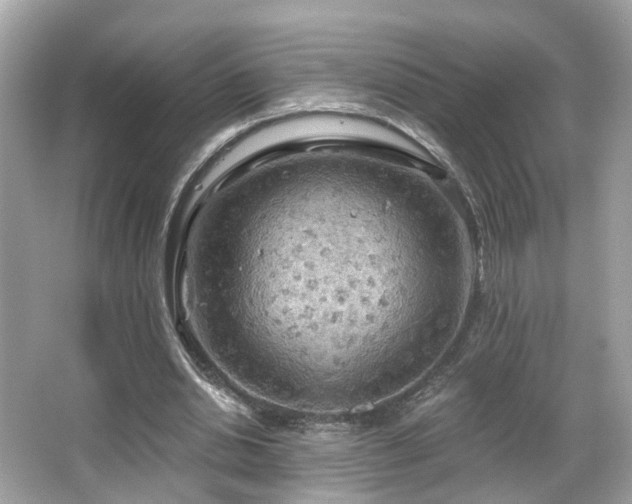 X0000066090438200603101210