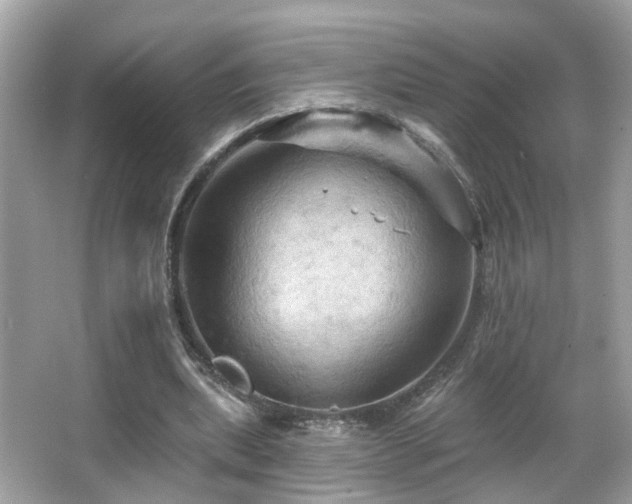 X0000066090439200603101210